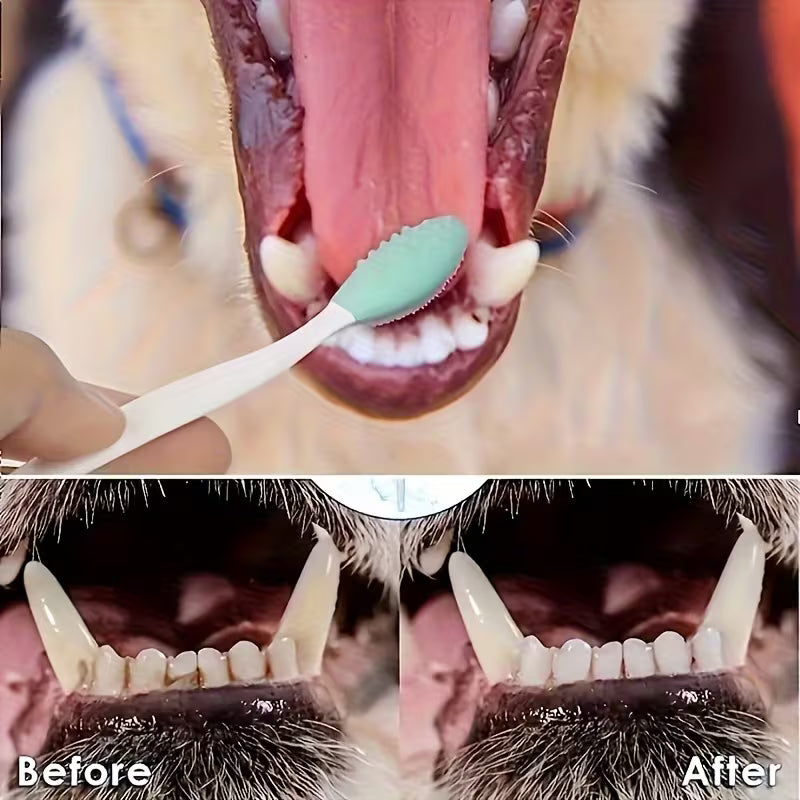 2-Pack Pet Toothbrush Set – Silicone Bristles, Curved Long Handle for Dogs & Cats