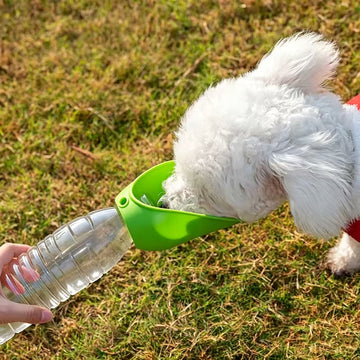 Collapsible Portable Pet Water Bowl – Foldable Travel Drinking Bowl for Dogs & Cats