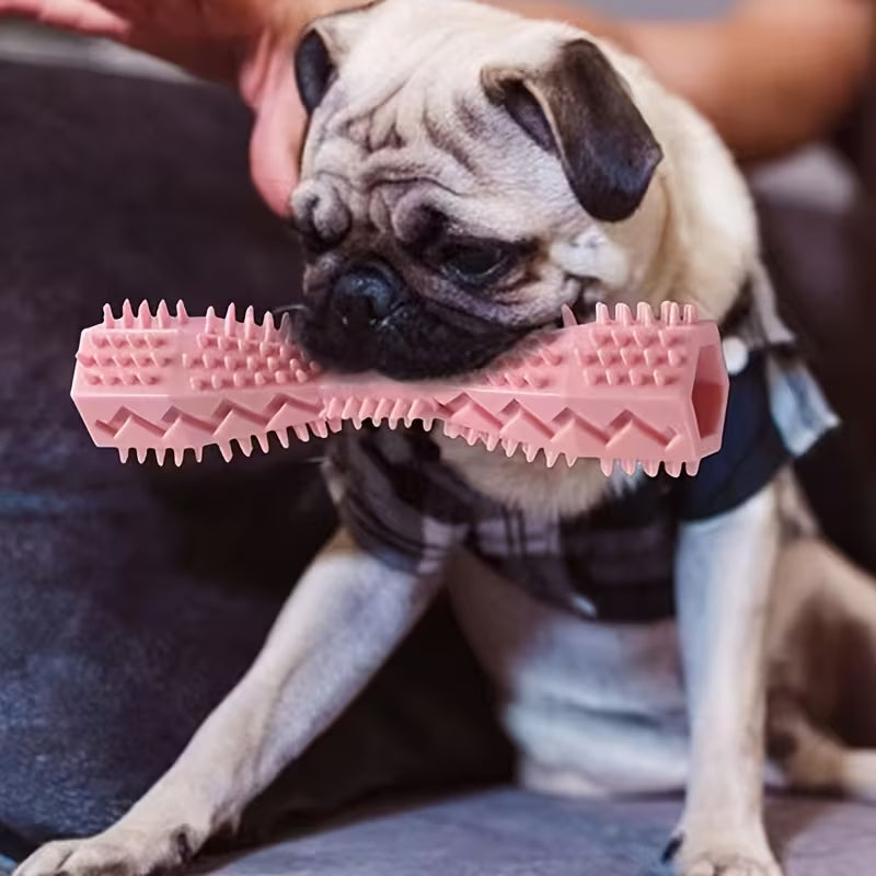 Durable Dog Chew Stick Toothbrush – Teeth Cleaning & Gum Massage Toy