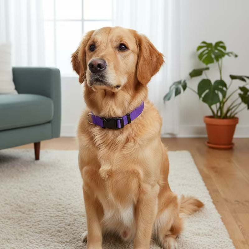 Adjustable Dog & Cat Collar – Reflective Safety Pet Collar